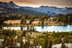 fletcher lake meadows.jpg